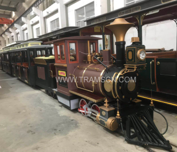 professional made The track Park trains