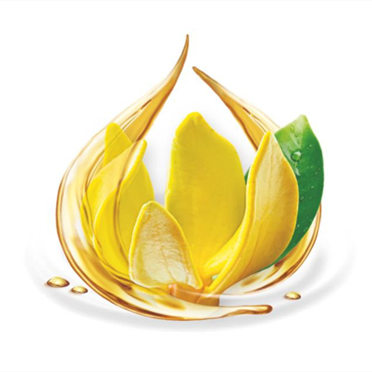 Cananga ylang ylang per aromaterapia