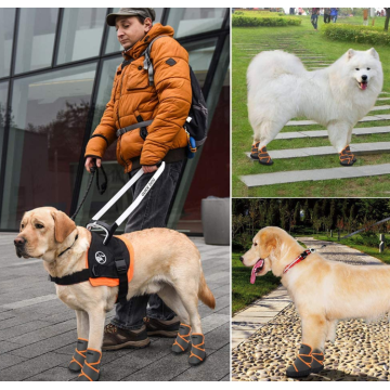 Botas de cão de estimação impermeável