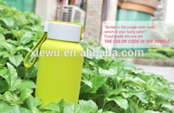 BPA Free Promotional Glass Tea Bottle