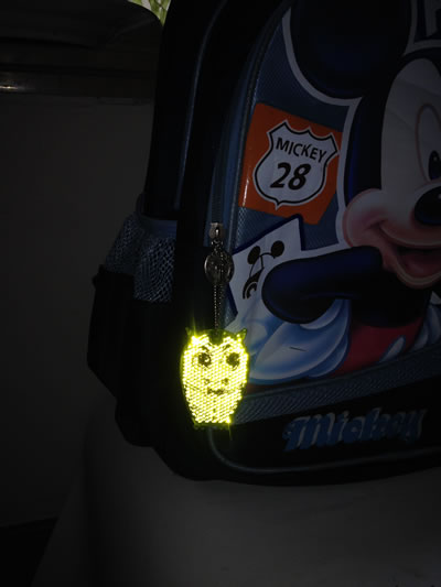 Halloween Gift Owl Reflector