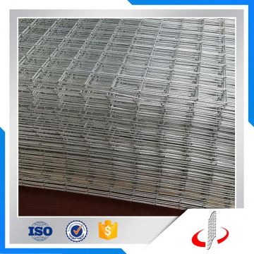 Welded Wire Mesh/Glavanized Welded Wire Mesh (ISO)