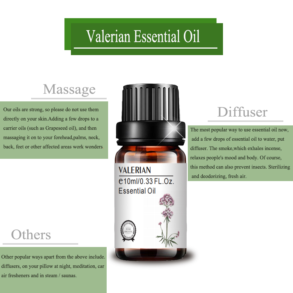 卸売バルクプライベートラベルValerian Oil Massage Aroma