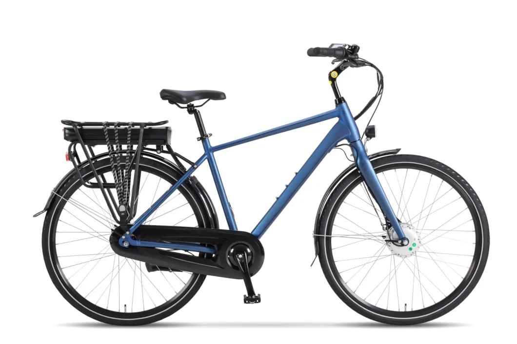 High Quality Road City Electric Bike with 350W Hub Motor