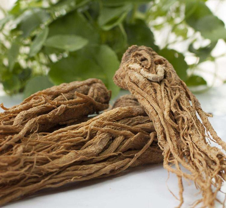 Chinese Angelica Root Extract Chinese Angelica Root Extract