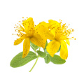 St.John `s WORT-Extraktpulver