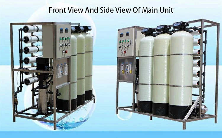 Reverse Osmosis 1000lph Two Stage RO and EDI Deionized RO Water Purifier Treatment Plant Machine