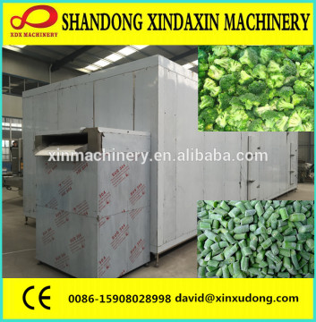 quick freezing machine for vegetables ,french fries