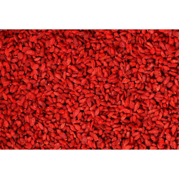 Ningxia High Quality Wholesale  Bulk goji berry