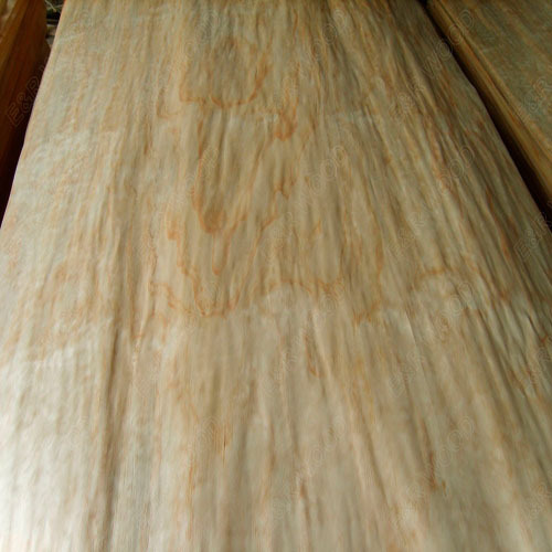 Rotary cut New Zealand Pine  veneer