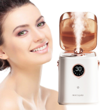 Therapy Beauty Care: Steamers and Facial Devices