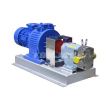 High Viscosity Twin-Rotor Robe Pump for Food Industry: Advanced Solutions and Applications