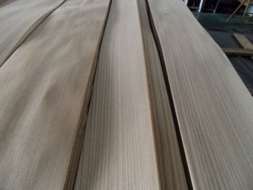 Elm veneer