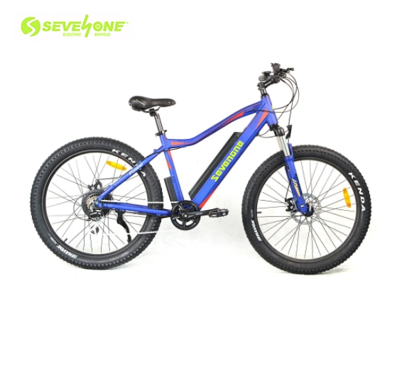 26 Inch Fat Tire Electric Bike with 48V 500W Rear Motor