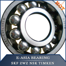 Rolling Element Bearing