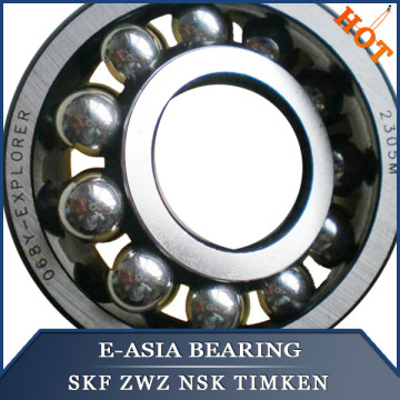 Rolling Element Bearing