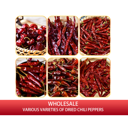 Spot wholesale Whole chili sliced cube Chopped