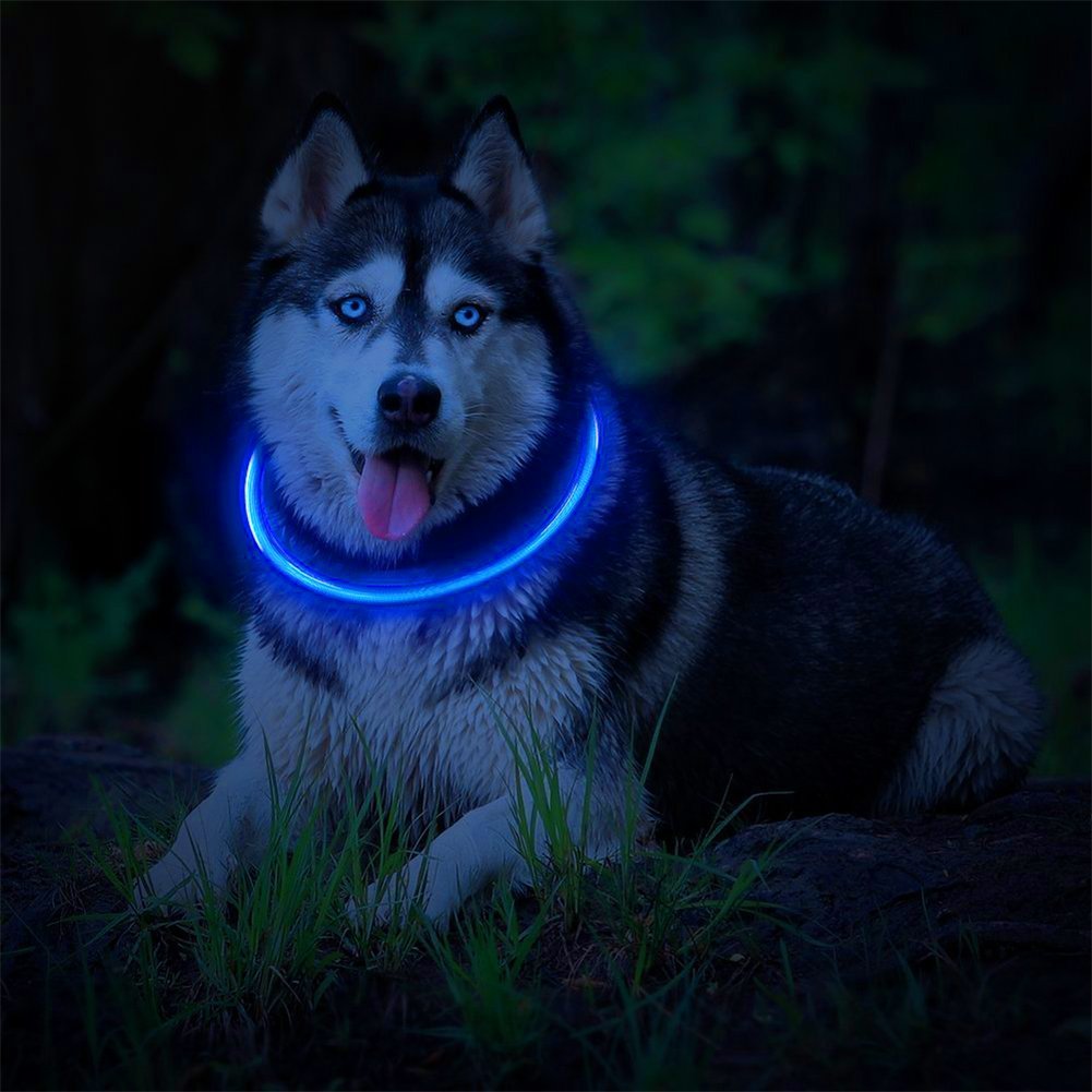 USB Rechargeable Led Collar