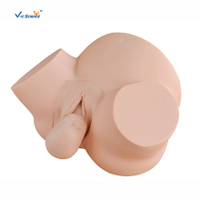 Medical Midwifery Training Simulator Model