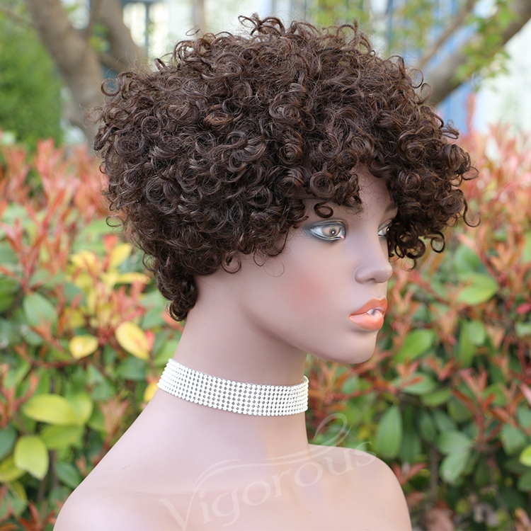 Vigorous Top Quality Brown Afro Kinky Curly Wigs for Black Women Short Side Part Human Hair Wholesale Price