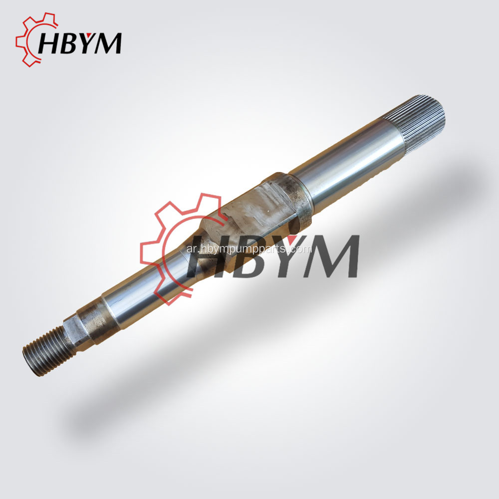 Parts Slewing Shaft For Schwing Concrete Parts