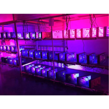 Gewächshaus Full Spectrum 300W LED wachsen leicht