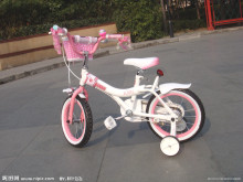 Beautiful Designed Kids Bicycle