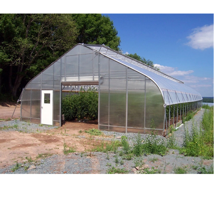 Single polycarbonatevegetable tunnel greenhouse