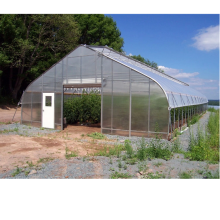 Greenhouse solar hidropônica de estufa de túnel poli