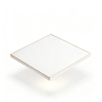 LED Ceiling Light for Laundry Room