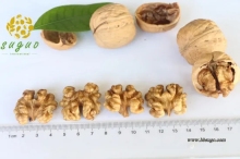 Northern Walnut Kernel & Whole Half Walnut Kernel