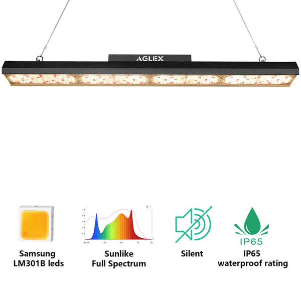 Espectro total 6ftx6ft 2.8umol / j led grow light