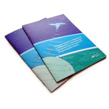 Cheap Instruction Booklet Printing with Fast Delivery