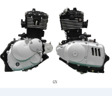 High Quality Fenghao Motorcycle Engines Assembly FH-GN125