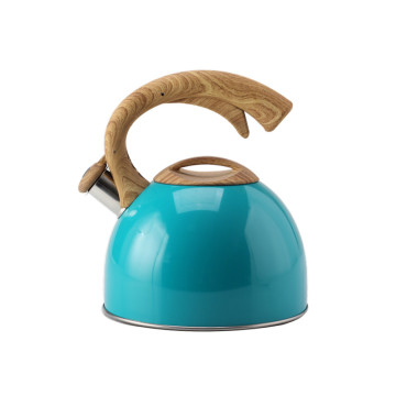 Color painting Stainless steel whistling kettle