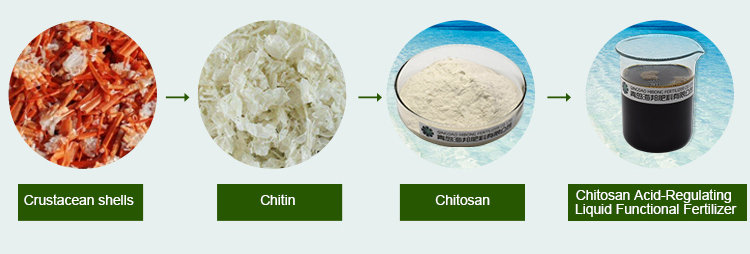 Chitosan Fungicide, Liquid Chitosan Fertilizer