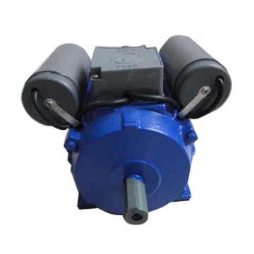 High Starting Torque Electric Motor (YL)