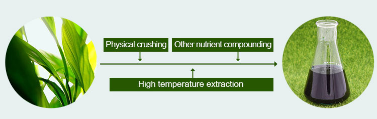 Seaweed Agro Liquid Fertilizers, Liquid Kinds of Organic Seaweed Foliar Fertilizer