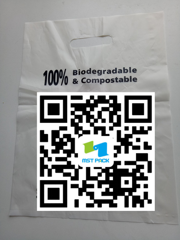 Biodegradable Bag