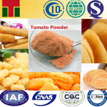 BBQ Seasoning Powder /Snacks Food Seasoning Powder