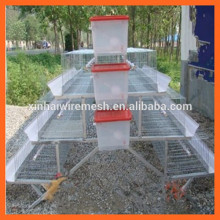 Chicken Cage/Chicken Layer Cage/Automatic Chicken Layer Cage for Sale in Philippines
