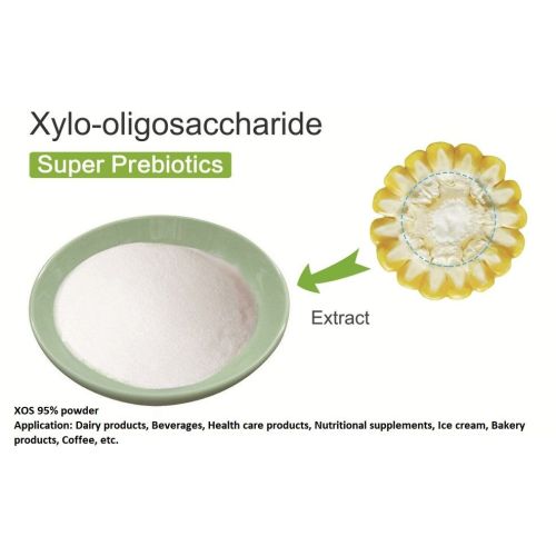 Supplément Optimal Prebiotics XOS Xylooligosaccharide