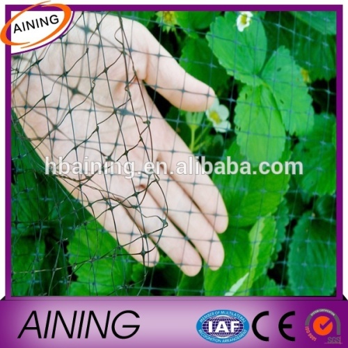 Transparent Extruded Plastic Netting