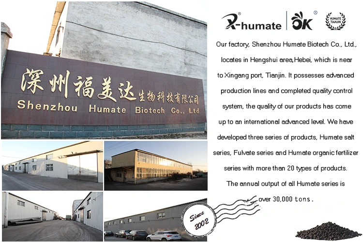 X-Humate Soluble in Water Potassium Humate and Humic Acid
