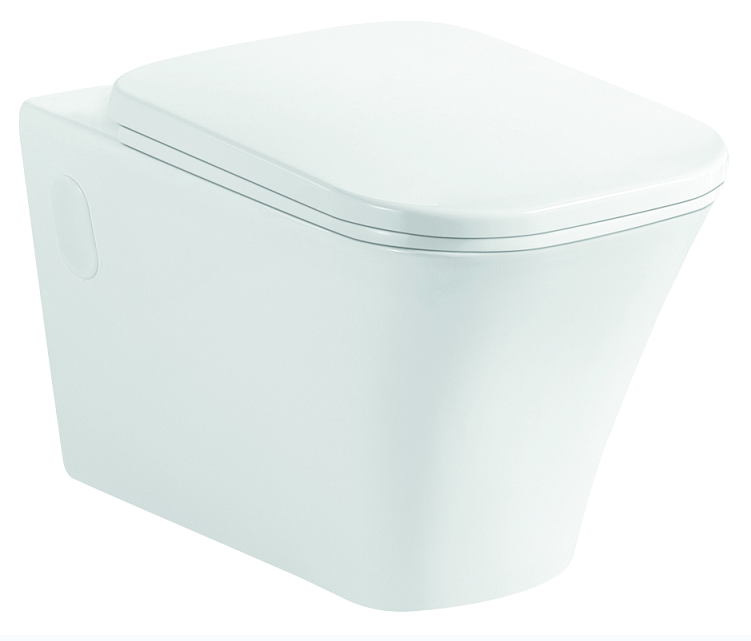Concealed Tank Sanitary Ware Ceramic Toliet For Bathroom
