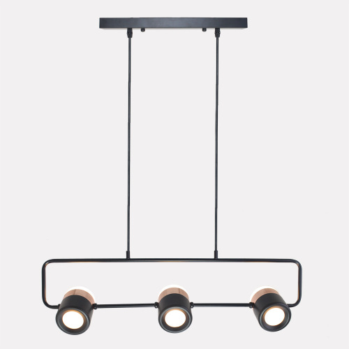 LEDER Metal Hanging Light Fixtures