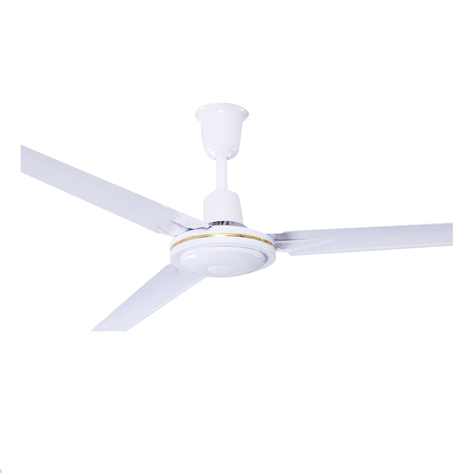 Electric Ceiling Fan