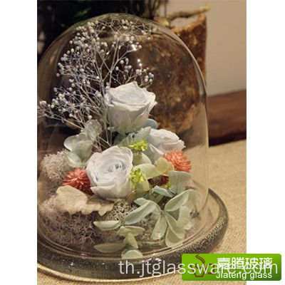 แจกันแก้ว Terrarium ทรงโดมกลางสมัยใหม่