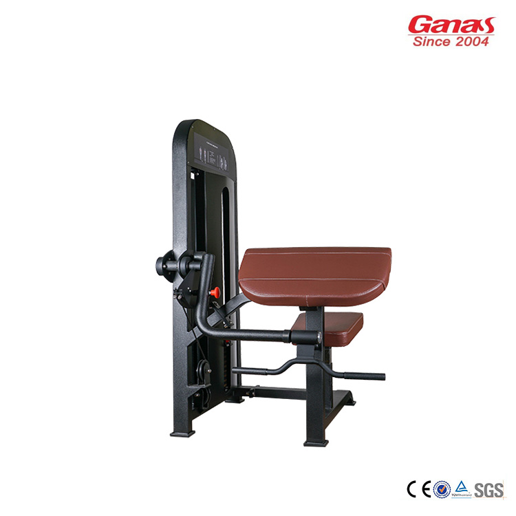 Professional Biceps Curl Machine