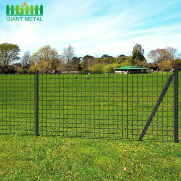 Steel Euro Mesh Fence per Gardon